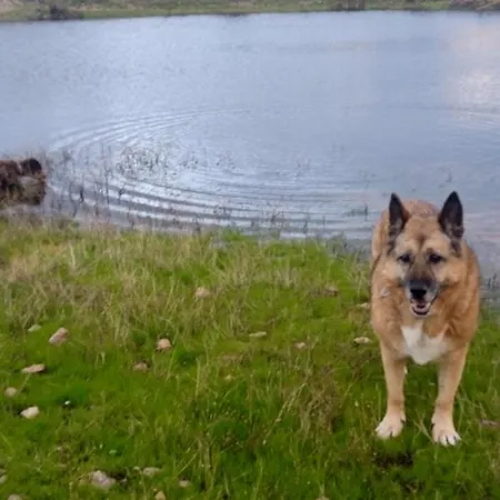 Mi Rinconcillo Ferienhaus