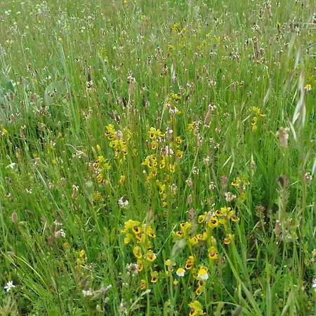 Mi Rinconcillo * Valleruela de Pedraza