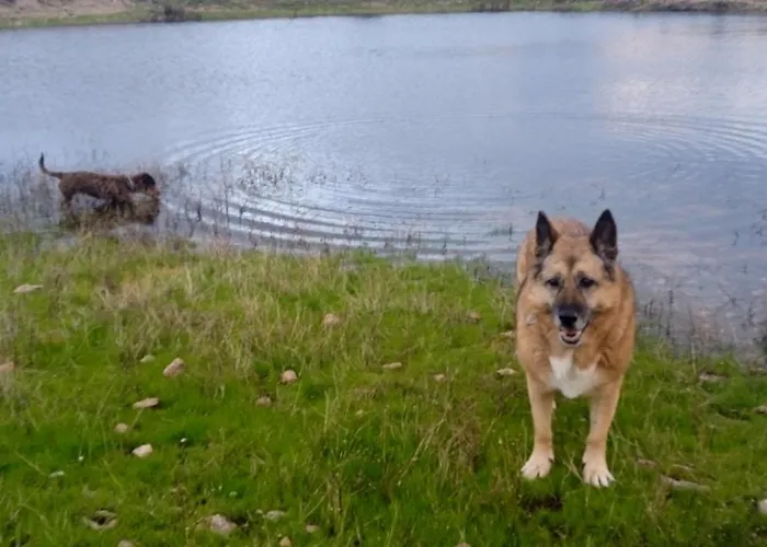 Mi Rinconcillo Semesterbostad