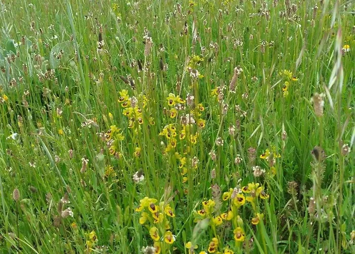 Mi Rinconcillo * Valleruela de Pedraza